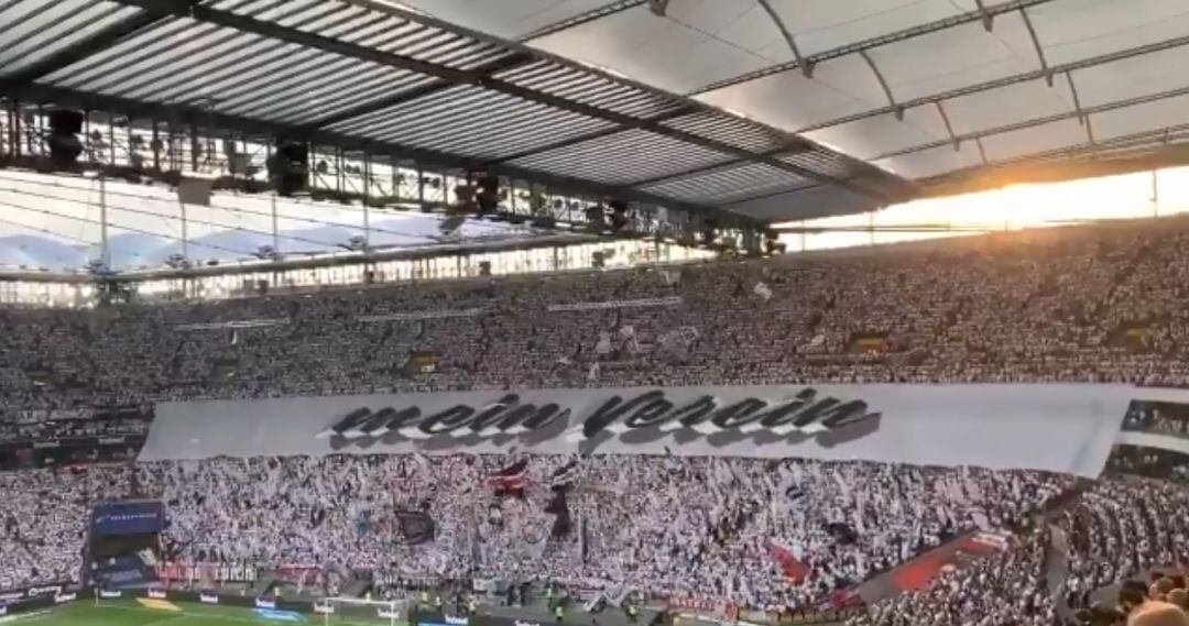 El tifo de los ultras reza: &quot;Mi club&quot;