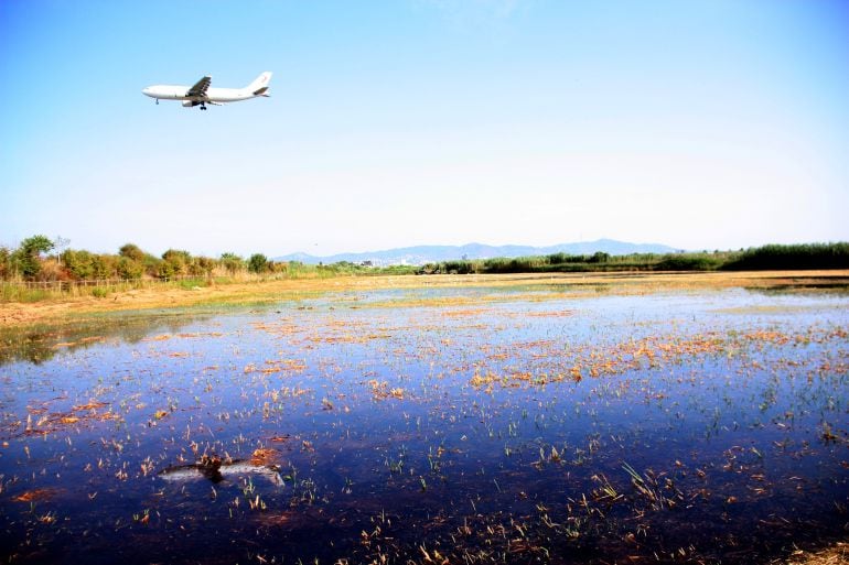 Un avió que es disposa a aterrar a l&#039;aeroport del Prat sobrevola un dels espais naturals del Delta del Llobregat.