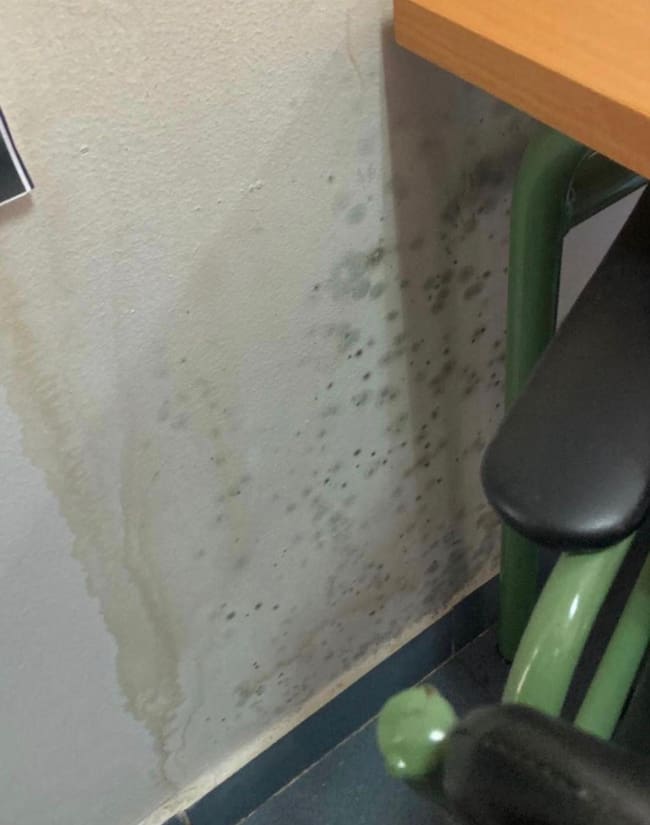 Humedad y moho en una de las paredes del IES Cervantes de Móstoles