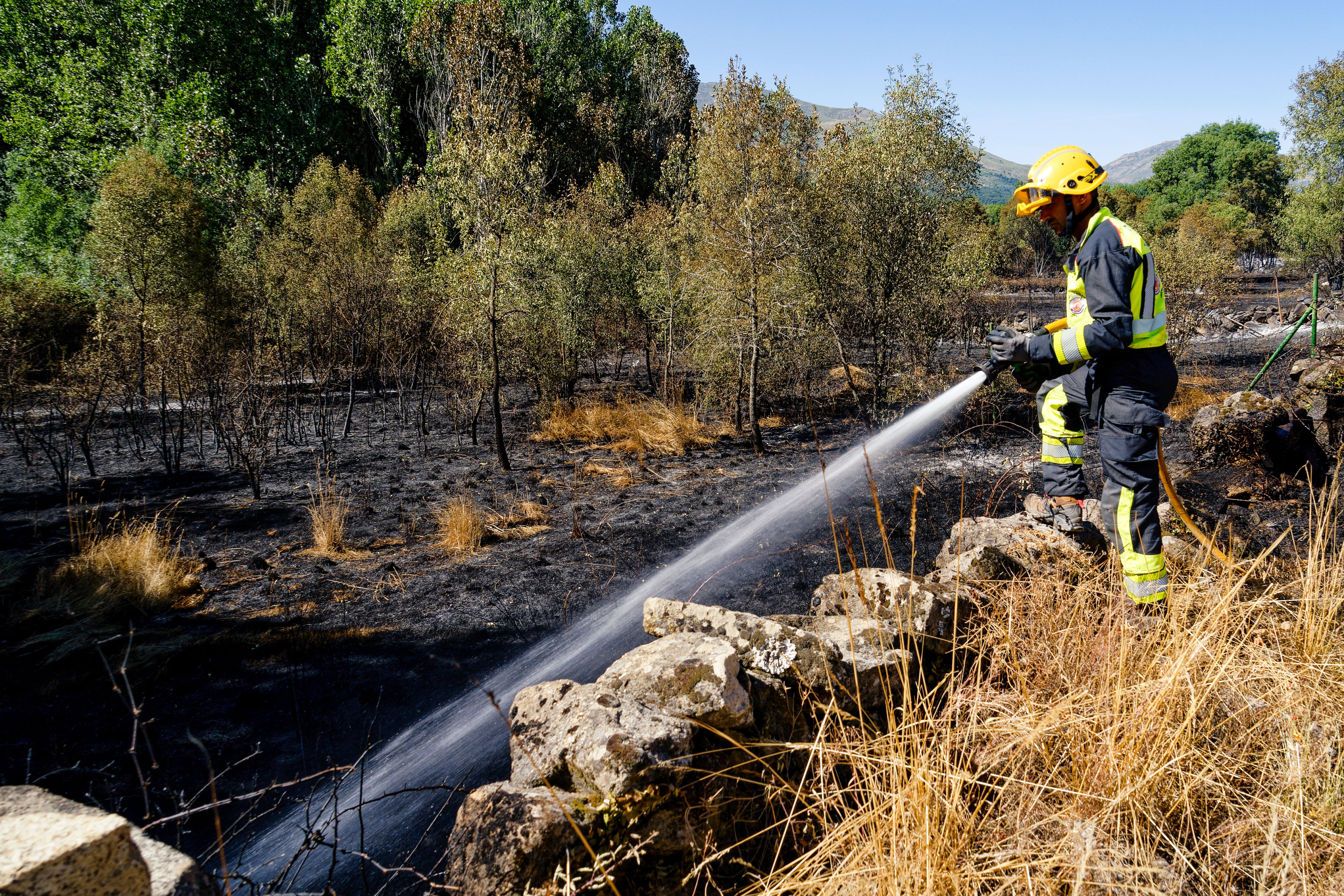 Efectivos de Bomberos luchan contra las llamas del incendio forestal declarado en el término municipal de Navaluenga (Ávila), este sábado.