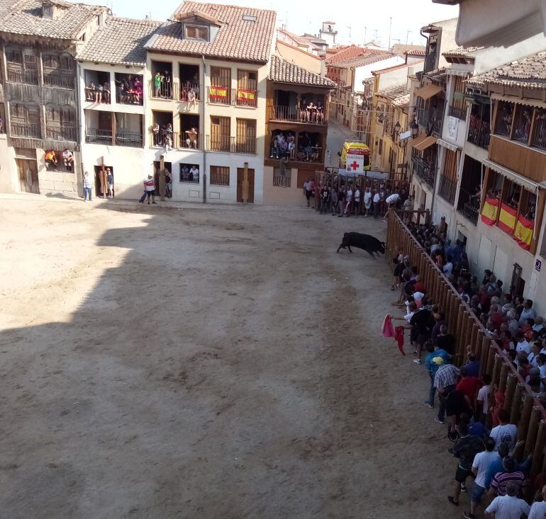 Uno de los toros de la capea es llamado por los participantes de la empalizada