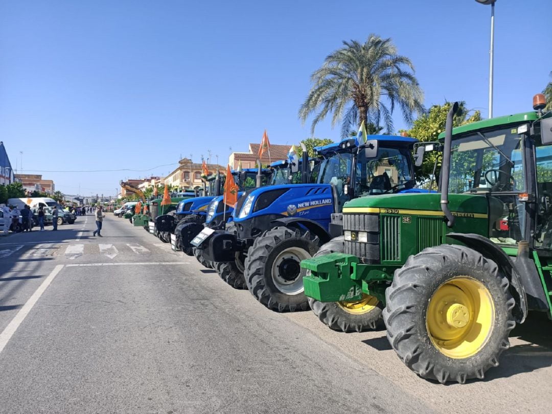 Tractorada en Isla Mayor.