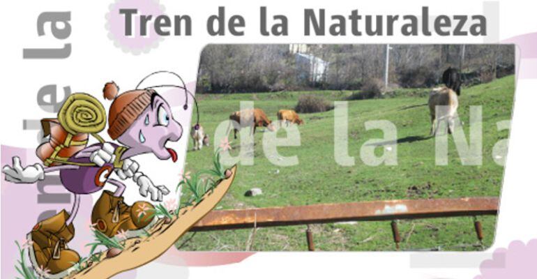 La Comunidad de Madrid y RENFE nos muestran la naturaleza madrileña desde un ferrocarril muy especial