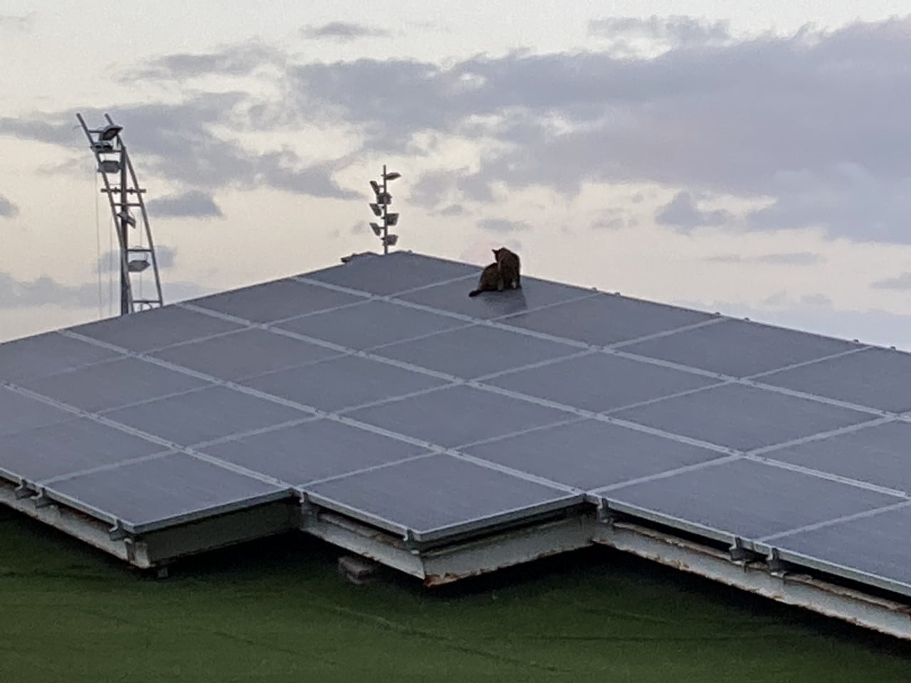 Paneles fotovoltaicos en el techo de una instalación deportiva en Las Palmas de Gran Canaria