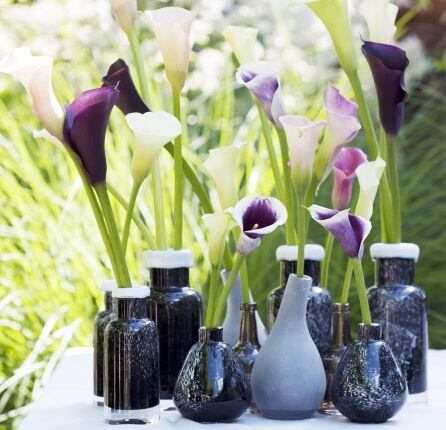 Calas blancas, rosas y moradas.