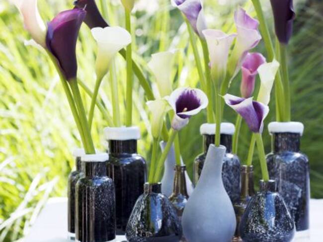 Calas blancas, rosas y moradas.