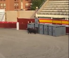 Las denuncias por lo sucedido en Barbastro en el desencajonamiento de los toros se siguen sucediendo