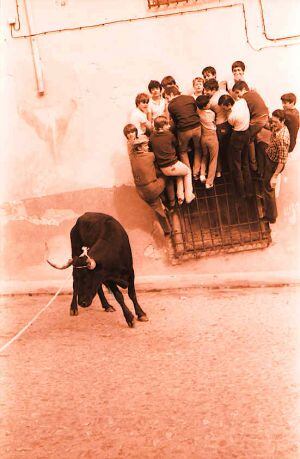 Jóvenes subidos a una reja para evitar a la vaquilla.