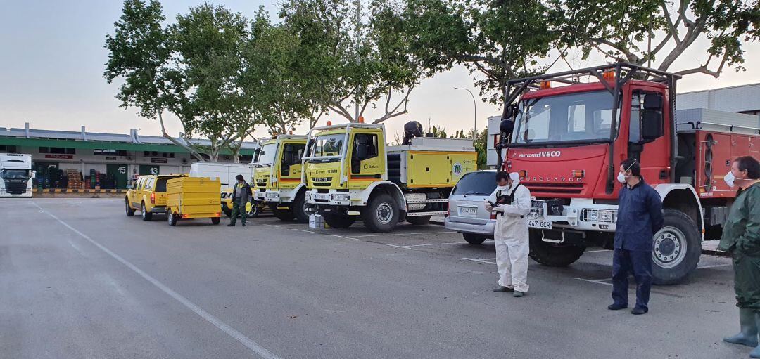 Efectivos de las brigadas forestales durante la desinfección llevada a cabo en Murcia