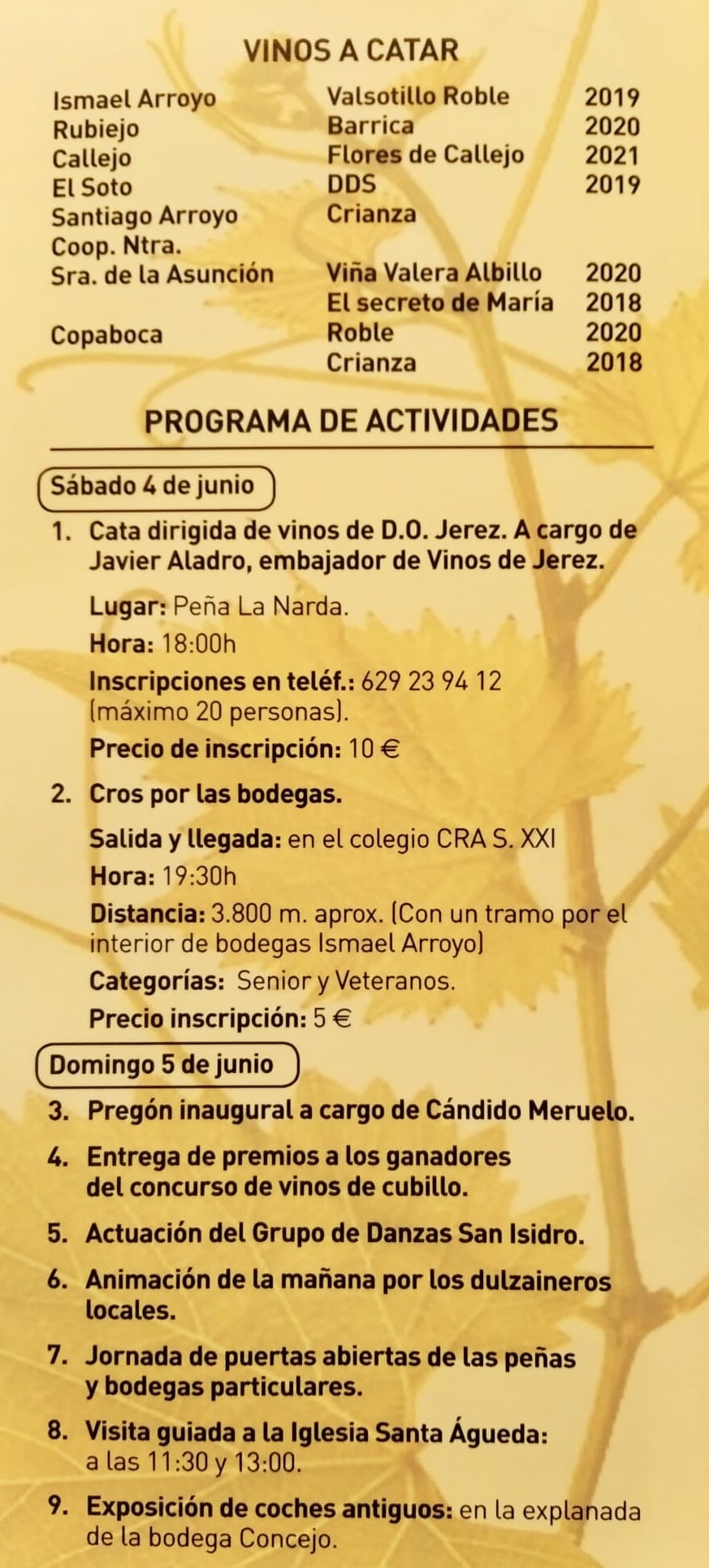 Programa de actividades