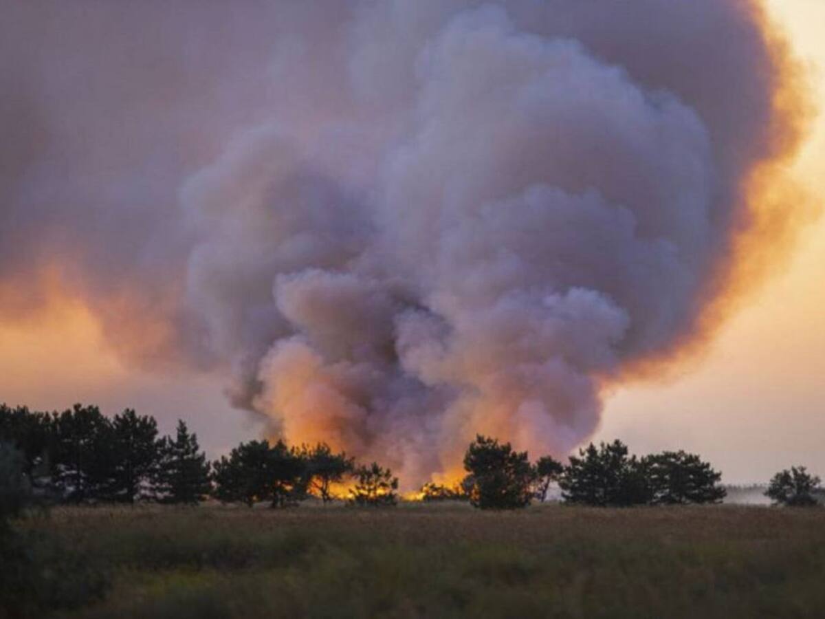 La Junta contrata un servicio de retén de maquinaria para la prevención y extinción de incendios en Palencia
