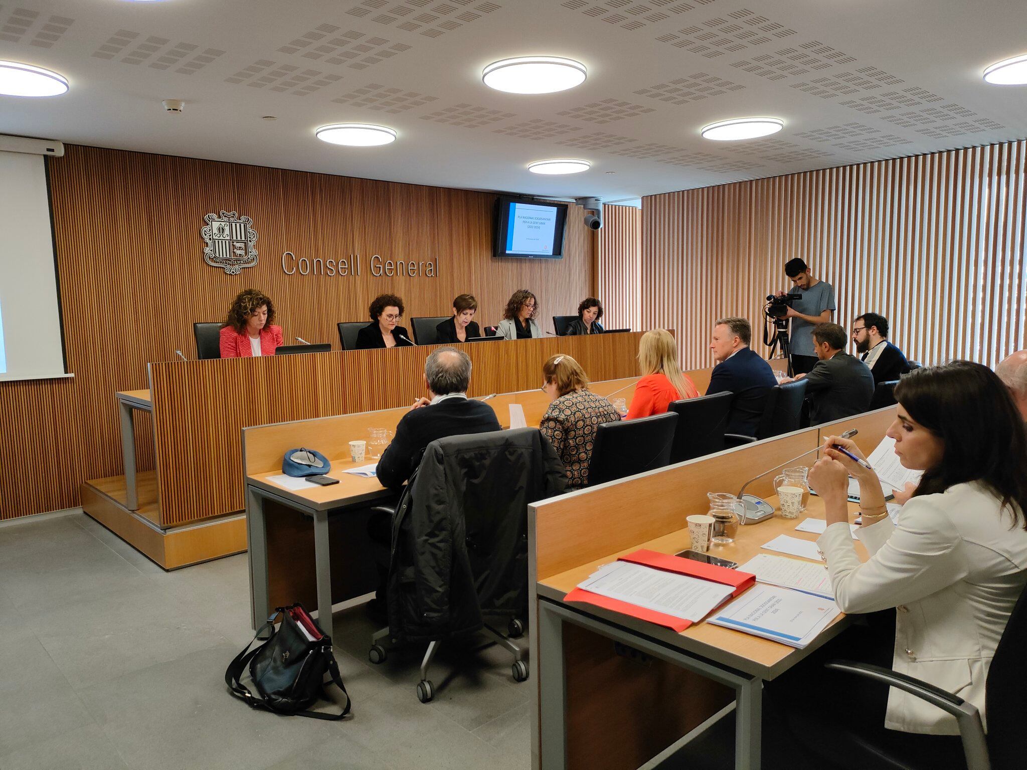 La ministra Judith Pallares compareix avui davant de la Comissió d'Afers Socials i Igualtat del ConsellGeneral per presentar el Pla Nacional Sociosanitari.