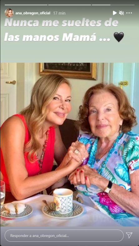 Captura de una historia de Ana Obregón
