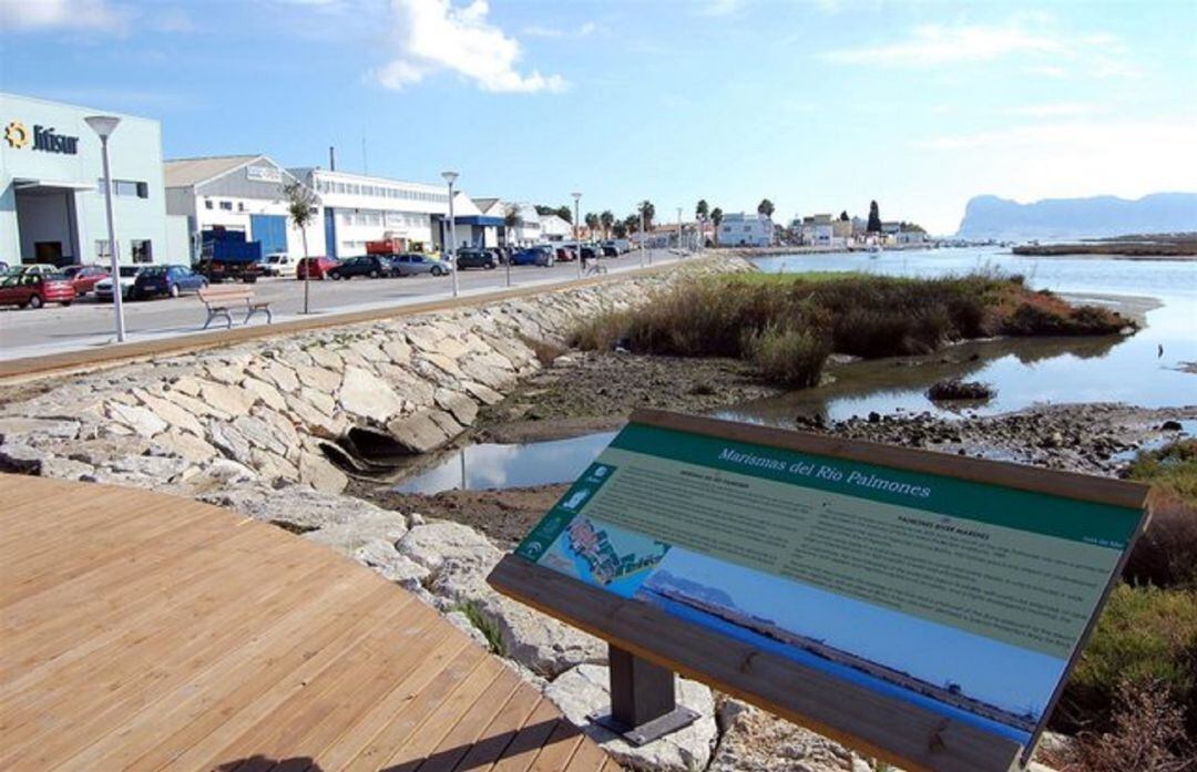 Marismas del río Palmones.