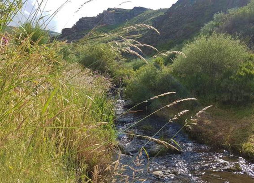 Tramo fluvial protegido