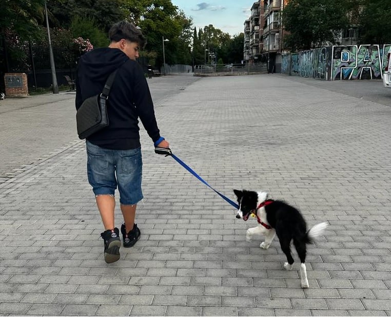 Joven paseando a su perro