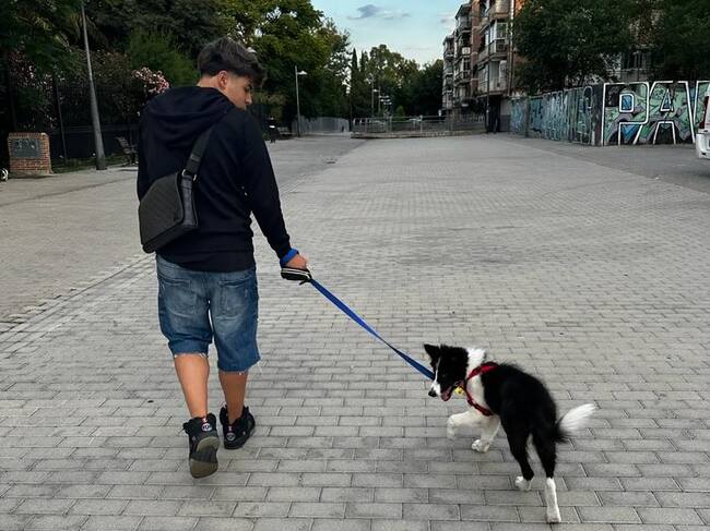 Joven paseando a su perro