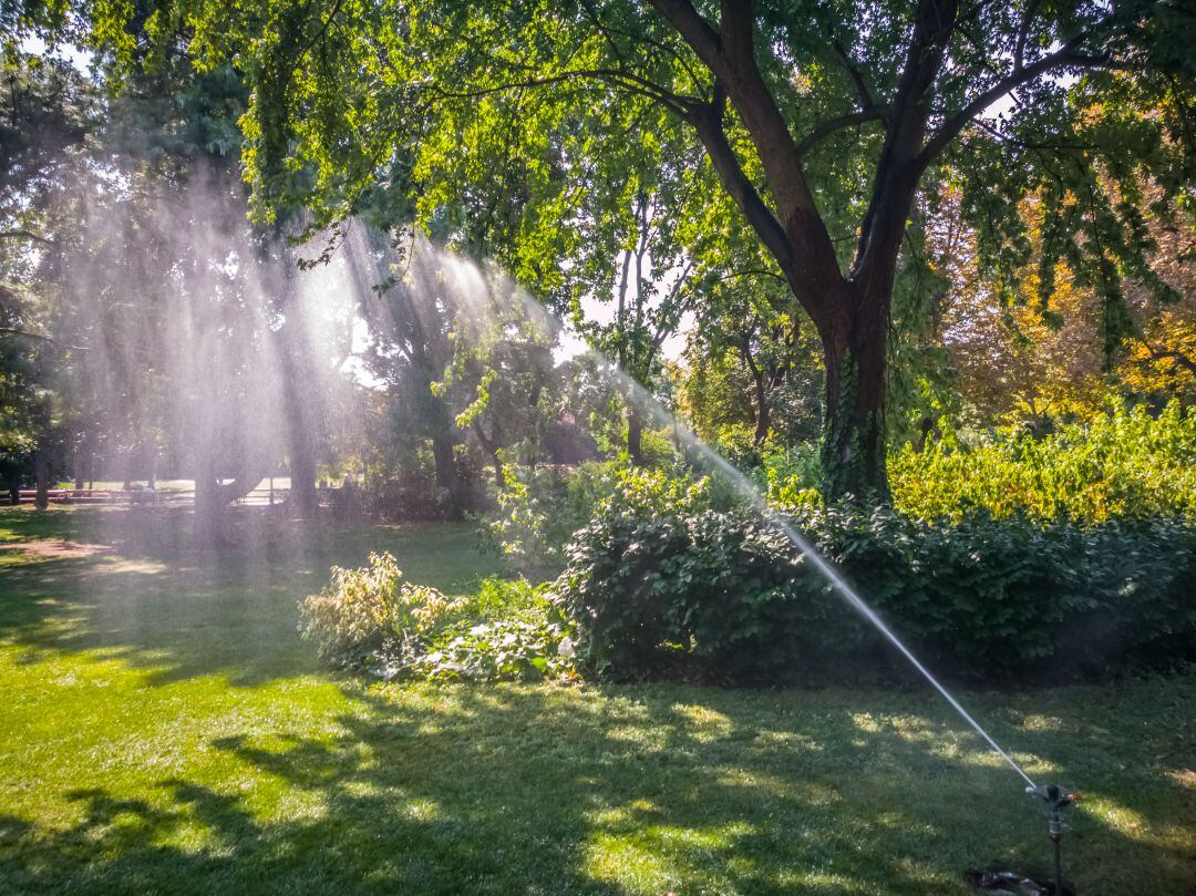 Tres Cantos implanta un sistema de riego inteligente para parques y jardines que ahorrará un 35% de agua