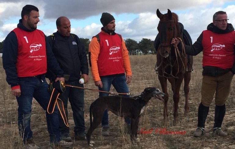 El campeonato de galgos llega a las semifinales con buen tiempo