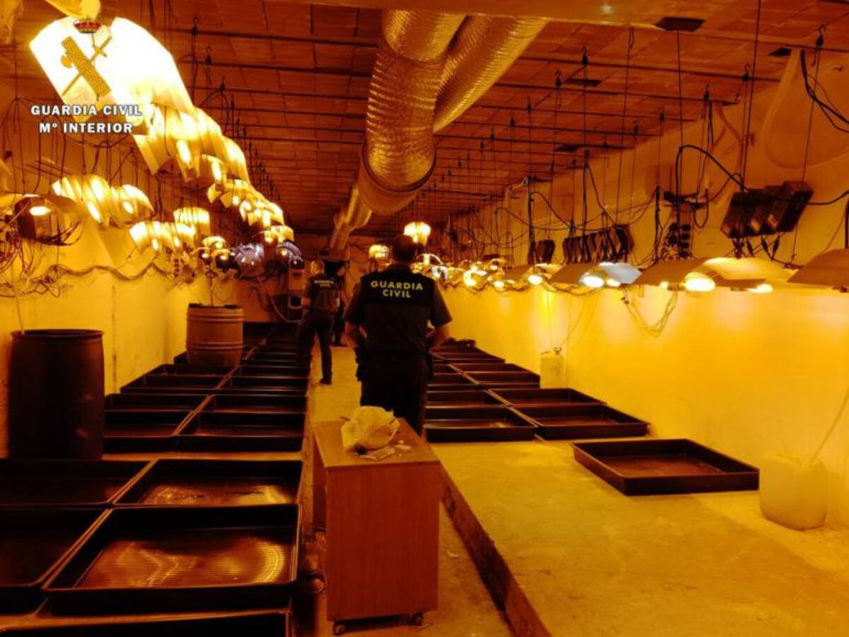 Tres detenidos en Maella por el cultivo de Marihuana