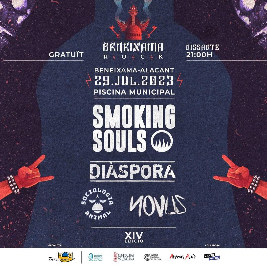 Cartel del concierto