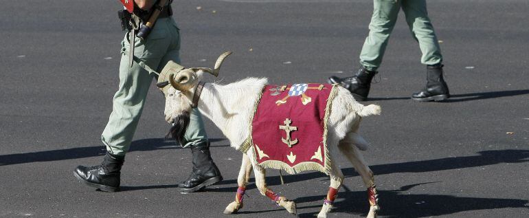 Imagen de la cabra de la legión en un desfile