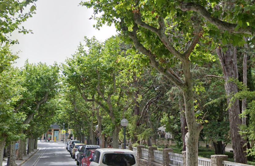 La poda se realizará de forma drástica en la calle del Parque