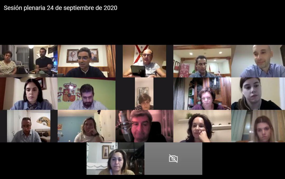 La sesión plenaria del mes de septiembre se realizó de manera telemática