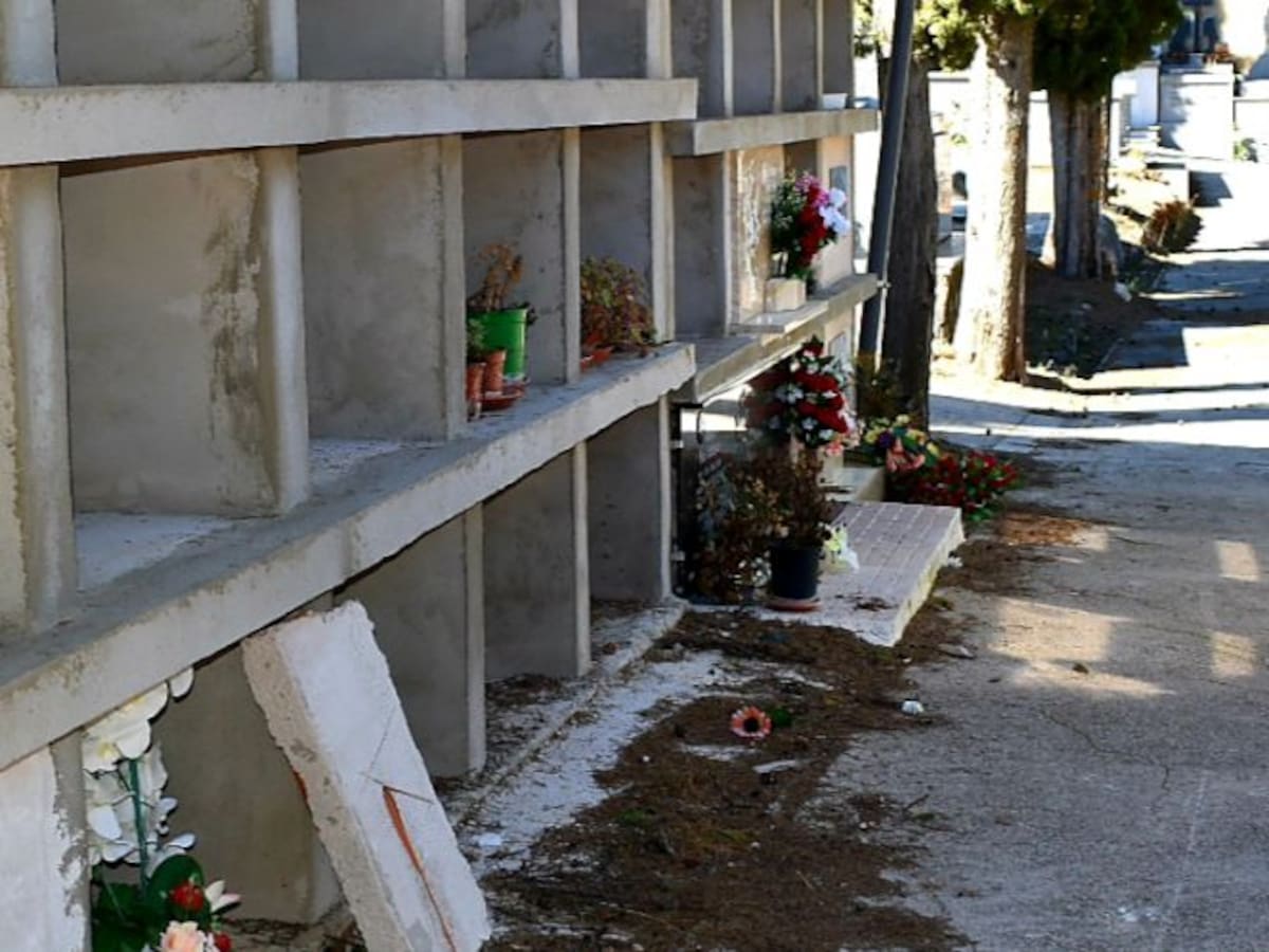 La Diputación de Albacete aprueba 7 ayudas de emergencia en pleno Estado de alarma