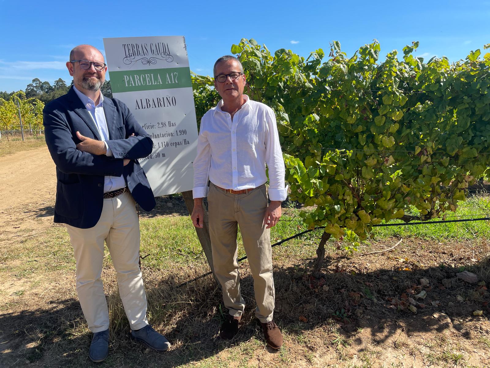 Bodegas Terras Gauda