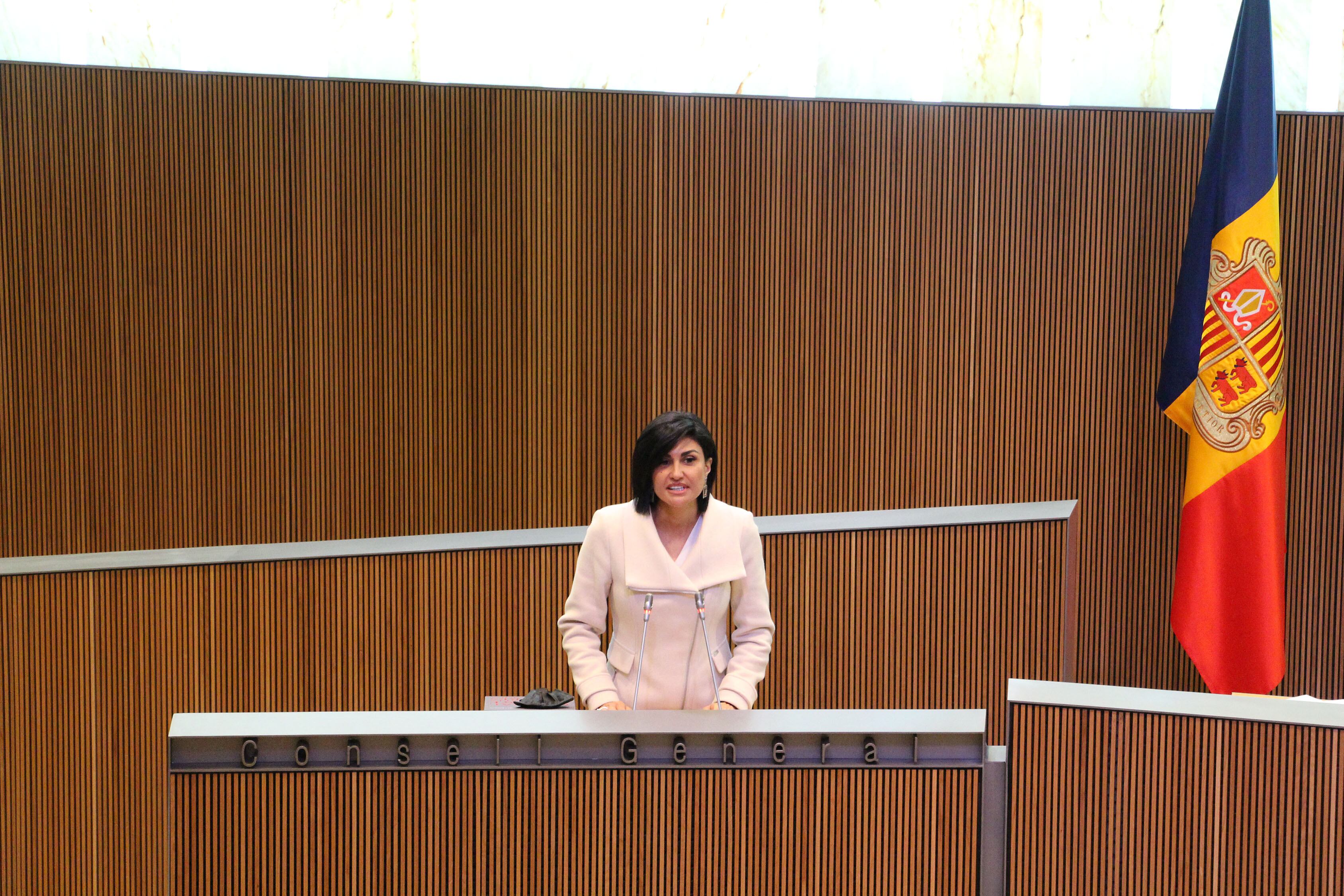 La consellera no adscrita, Carine Montaner, durant una intervenció al Consell General.