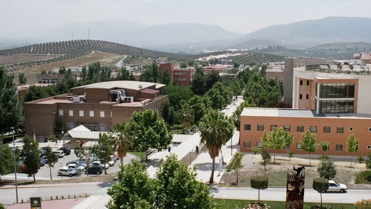 La UJA comienza este martes sus clases no presenciales
