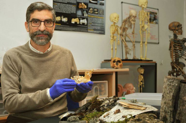 El investigador del CSIC Antonio Rosas con la mandíbula neandertal encontrada en la cueva del Sidrón (Asturias).