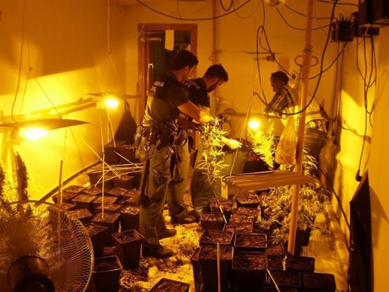 Imagen de Archivo de una operación de la Guardia Civil en un domicilio particular de la localidad de Loja(Granada) donde se cultivaba marihuana y se robaba fluido eléctrico