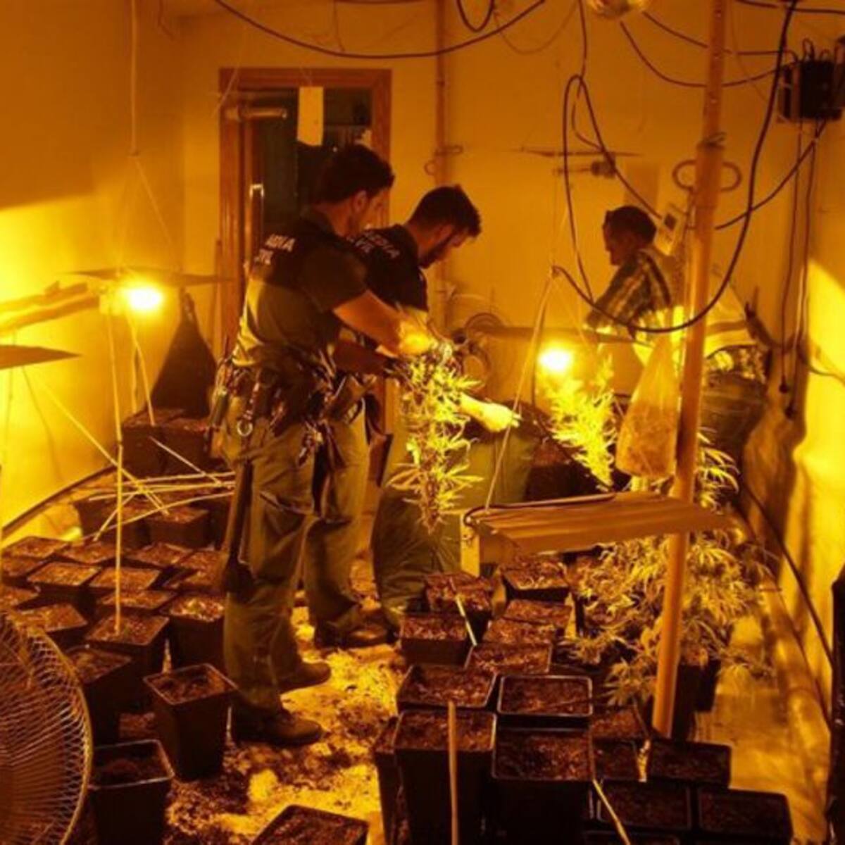 "Almanjáyar, el polígono industrial de la droga en Andalucía"