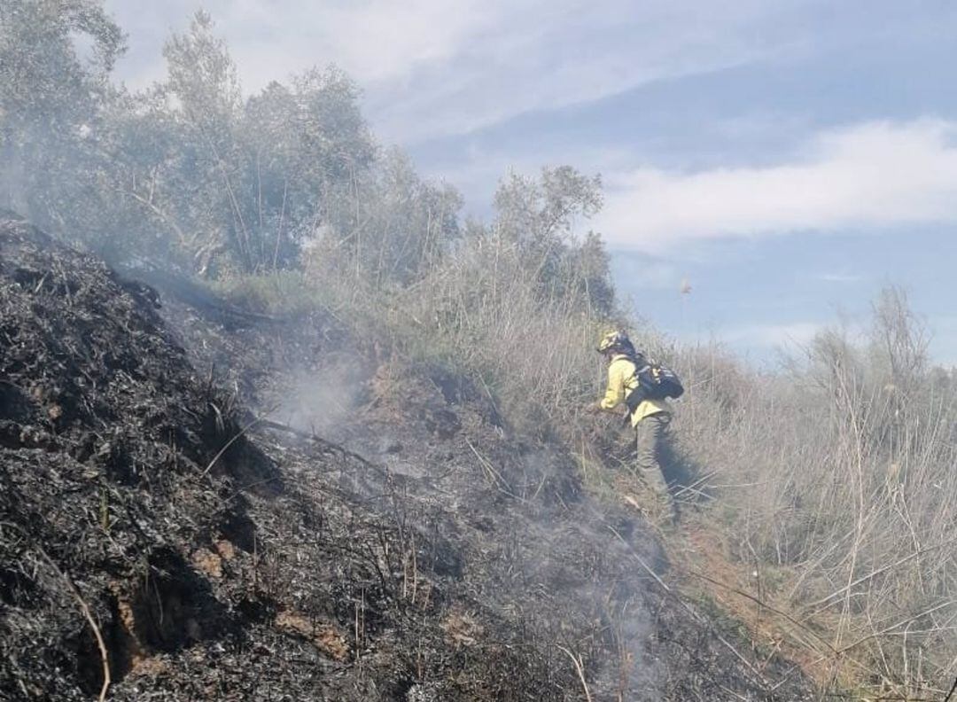 Bomberos se afanan en esta zona del municipio jiennense de Bedmar y Garcíez para poder sofocar las llamas