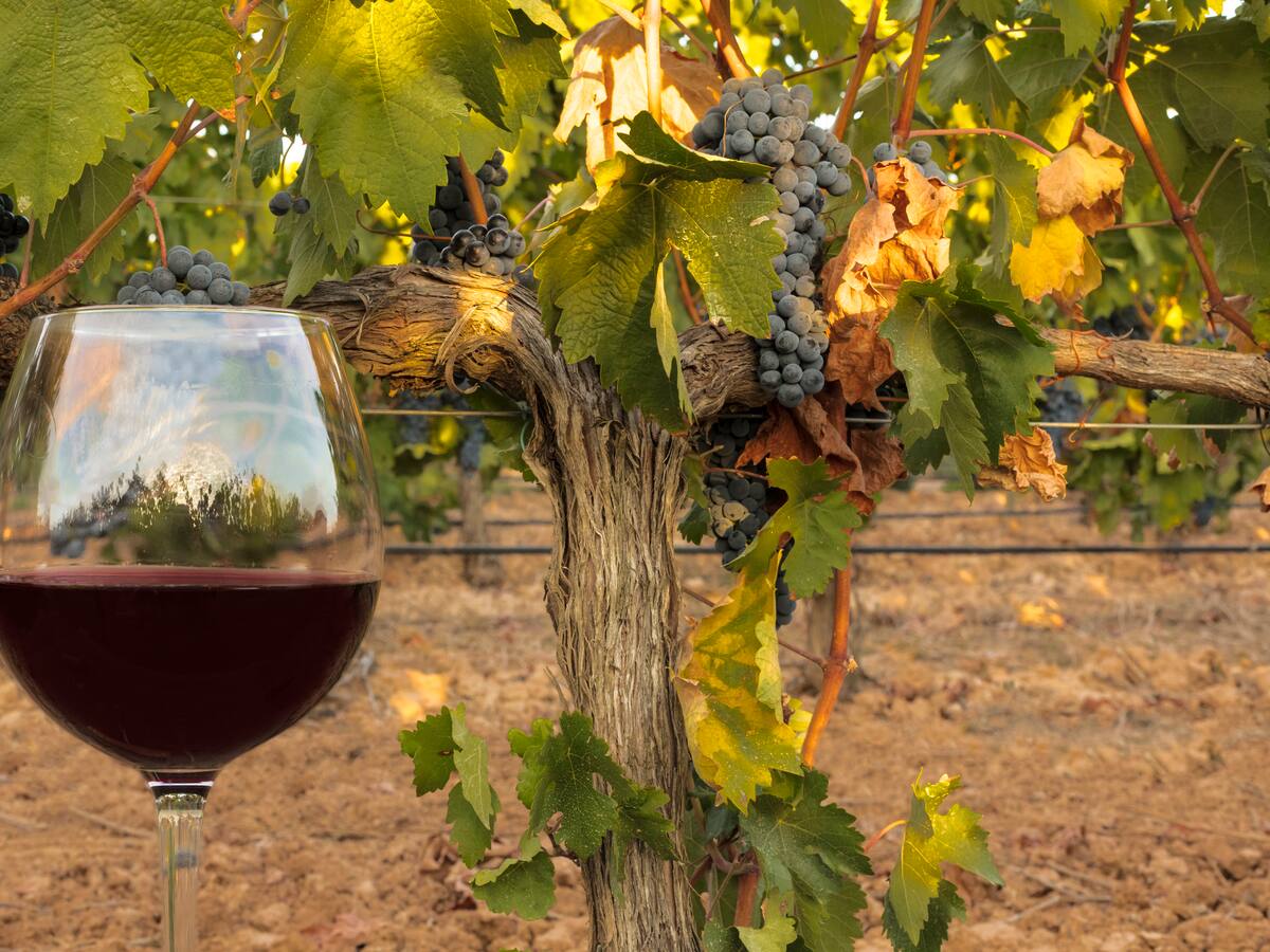 Ser Viajeros Comunitat Valenciana 15/06/2024