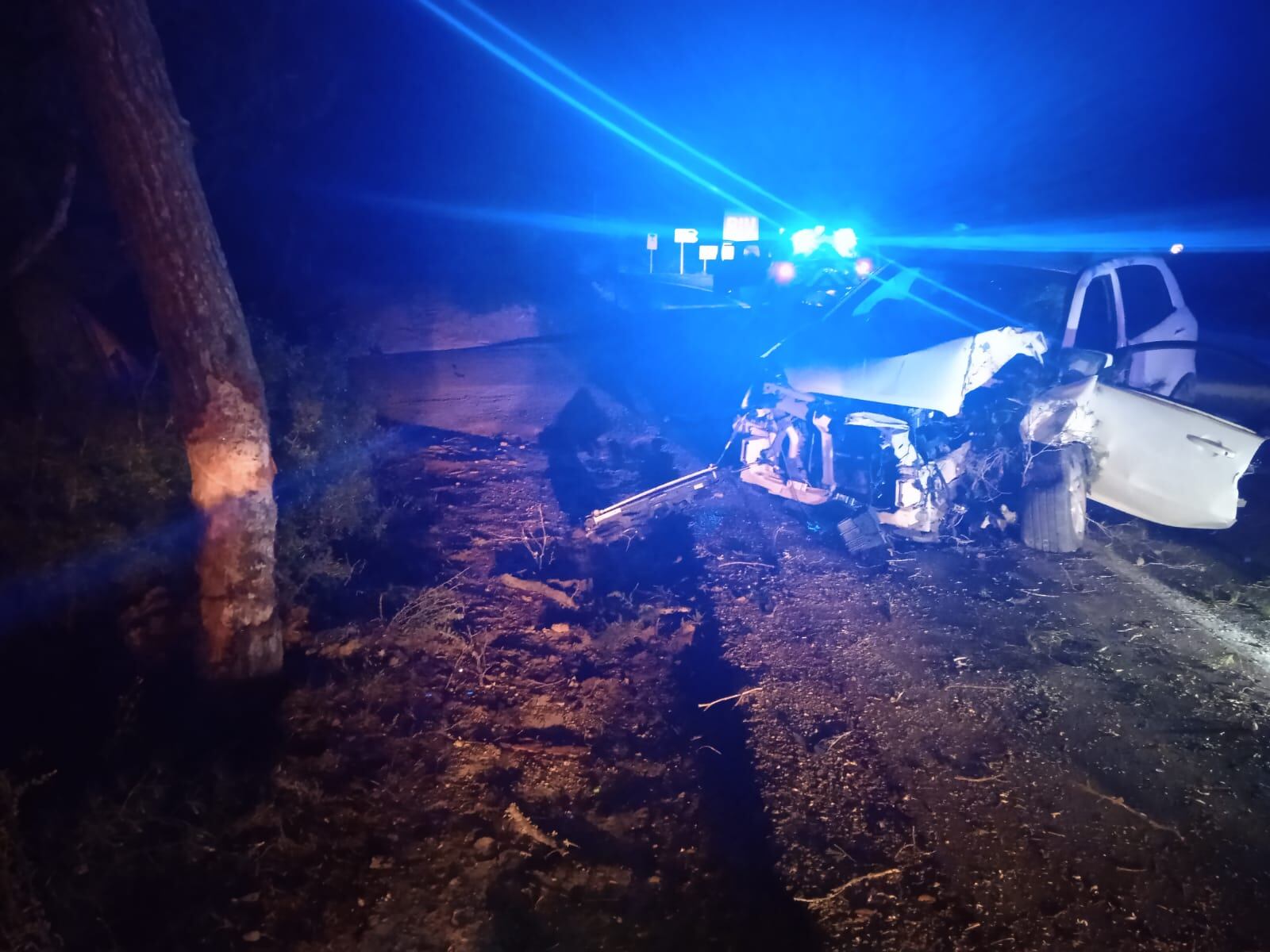 Imagen del vehículo accidentado