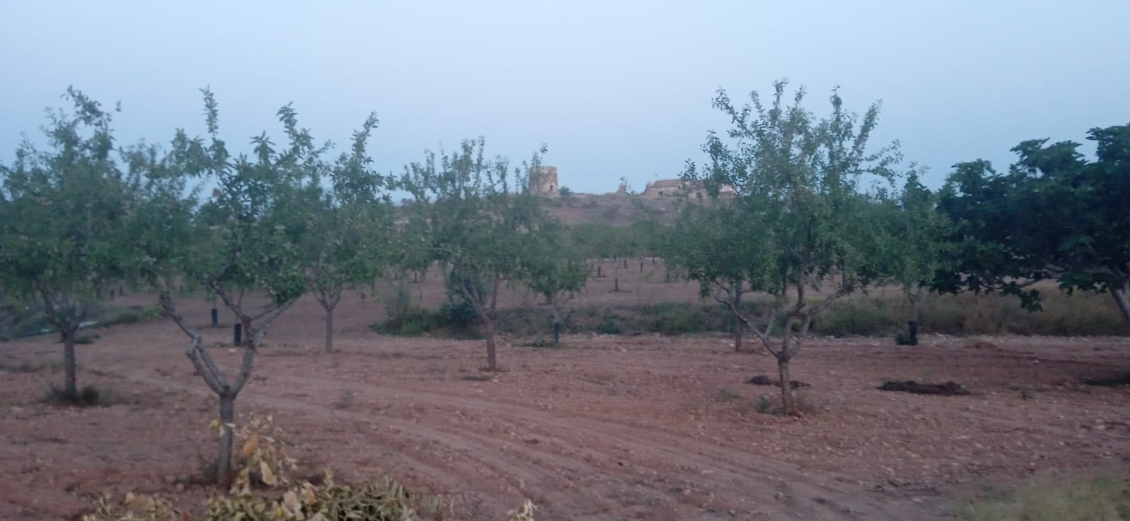 Zona Oeste de Cartagena