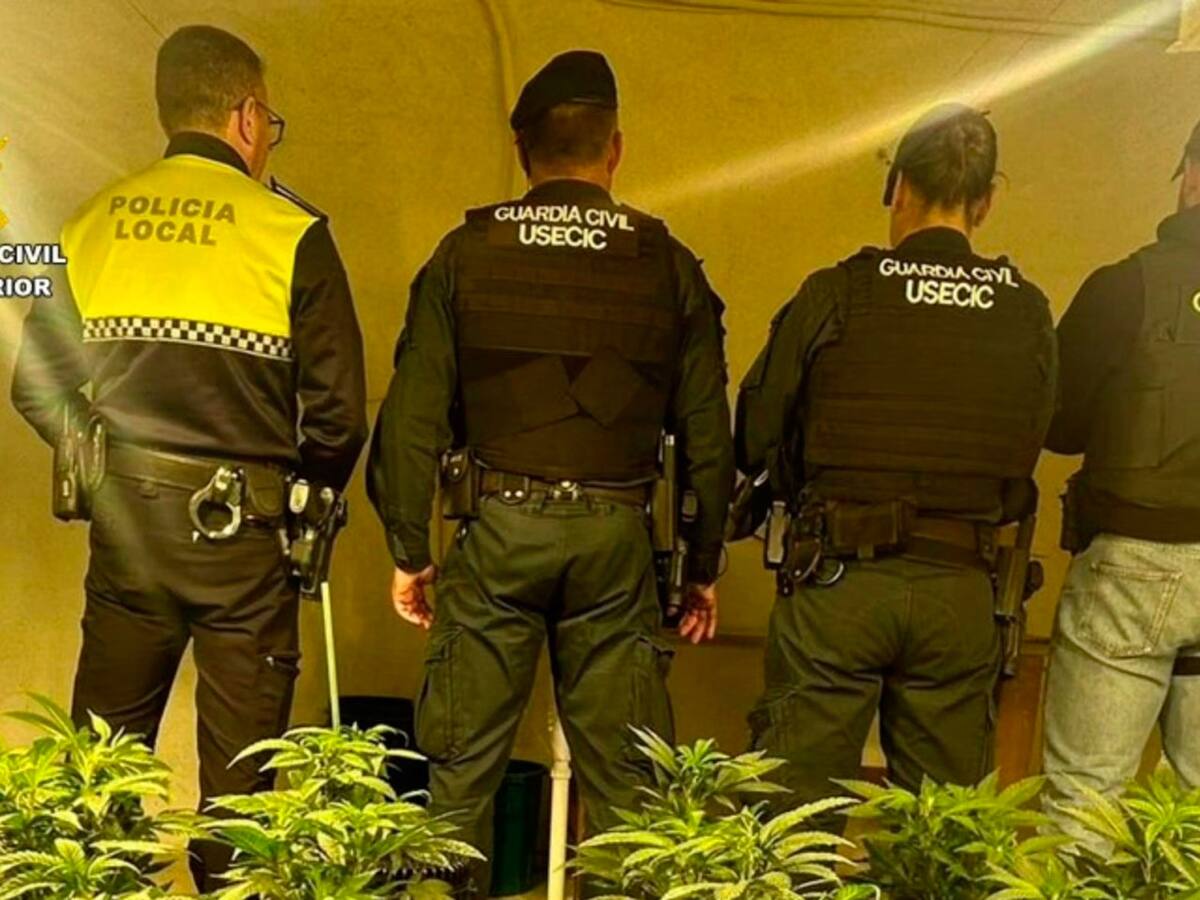 La Policía Local de Elda colabora con la Guardia Civil para desmantelar una plantación de cannabis