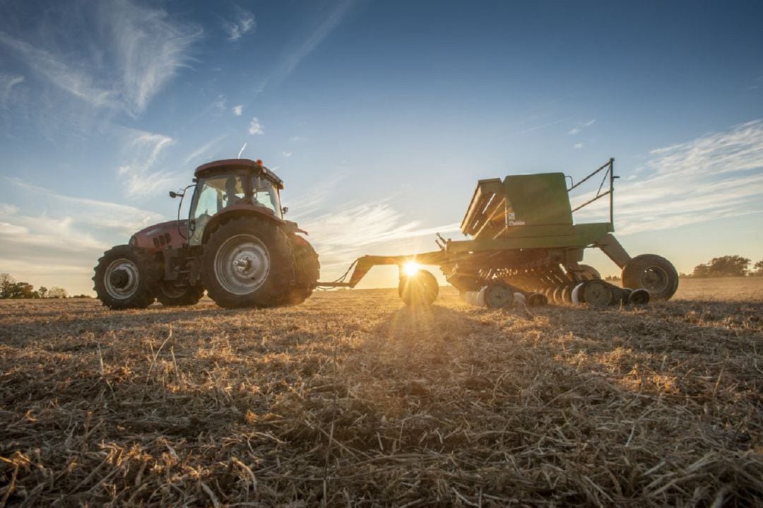 Trabajos en el campo.