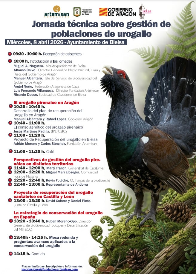 Programa de la jornada sobre el urogallo que se celebrará en Bielsa
