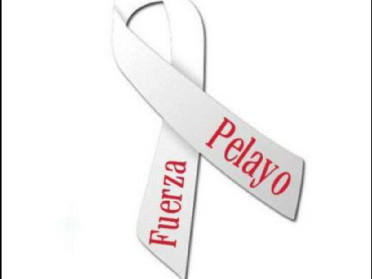 "Queremos que la familia de Pelayo sepa que cuenta con nuestro apoyo"