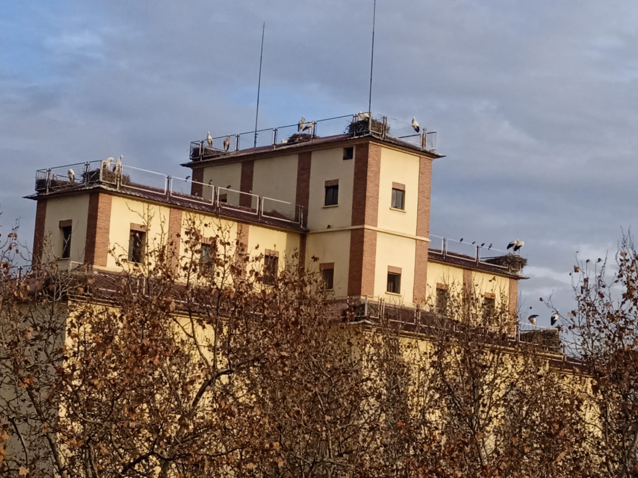 Abans de l'inici de les obres, els veïns de Pardinyes afirmen que les cigonyes ocupaven els 17 nius que hi ha a les sitges del Senpa. Foto: cedida per Orvepard.