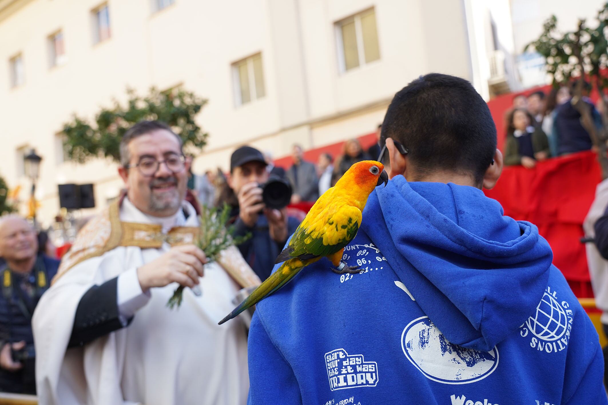 Celebración de San Antonio Abad en València