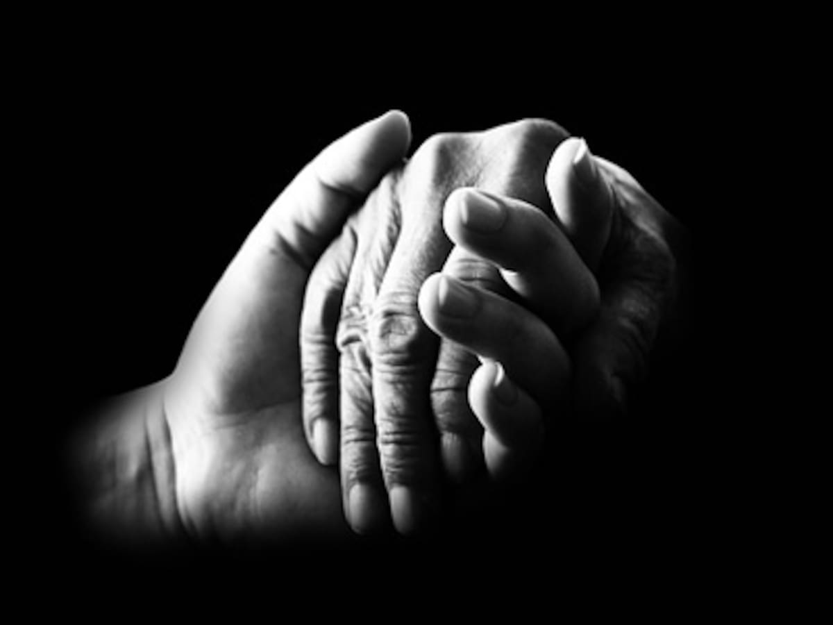 "La indiferencia nos hace cómplices de lo que impera. Si impera la crueldad, no deberíamos olvidar que la compasión debe guiar nuestras acciones"