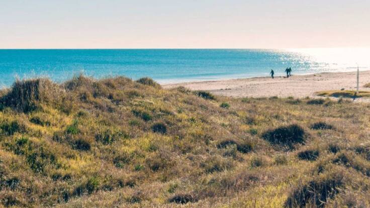 Entrevista Ventana (11-02-2021)