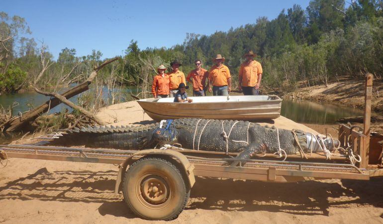 La Comisión de Parques y Vida Silvestre del Territorio del Norte de Australia  se fotografía junto al enorme cocodrilo.