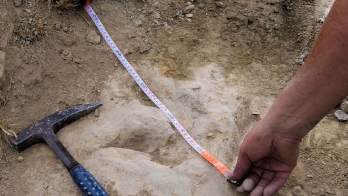 Hoy por Hoy La Rioja Baja (10/12/2021)