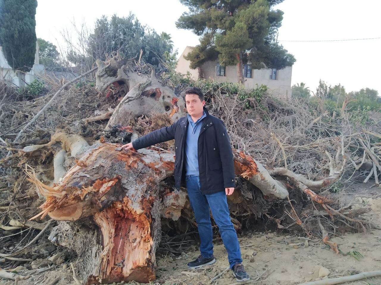 Sergio Pacheco, presidente de Huermur, con uno de los árboles arrasados por las obras